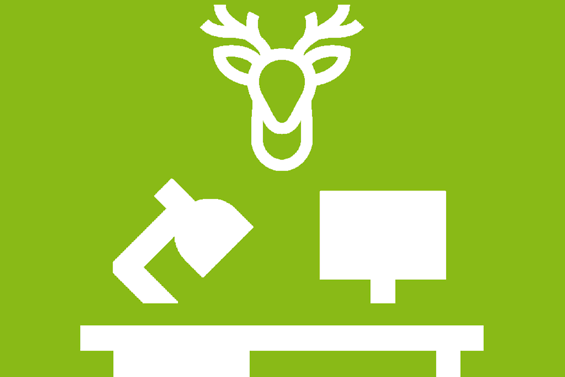 Icon "Platzhirsch": digitales Raumbuchungssystem