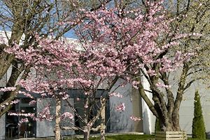 Garten vor dem Betriebsgelände Penning Sanitär
